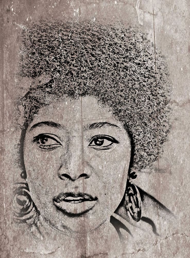 Alice Walker A Life of Art, Activism